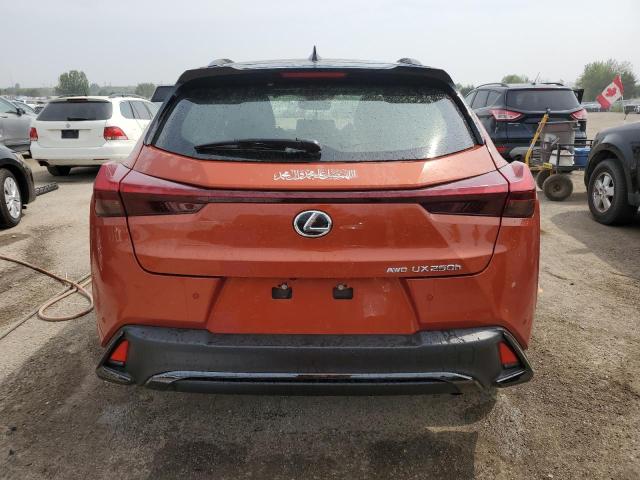 2024 LEXUS UX 250H PREMIUM  
