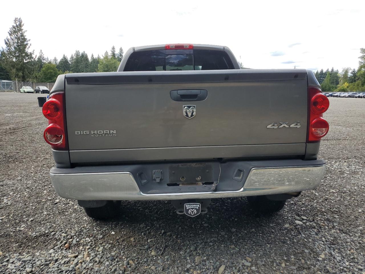2007 Dodge Ram 1500 St VIN: 1D7HU18207S271941 Lot: 69347315