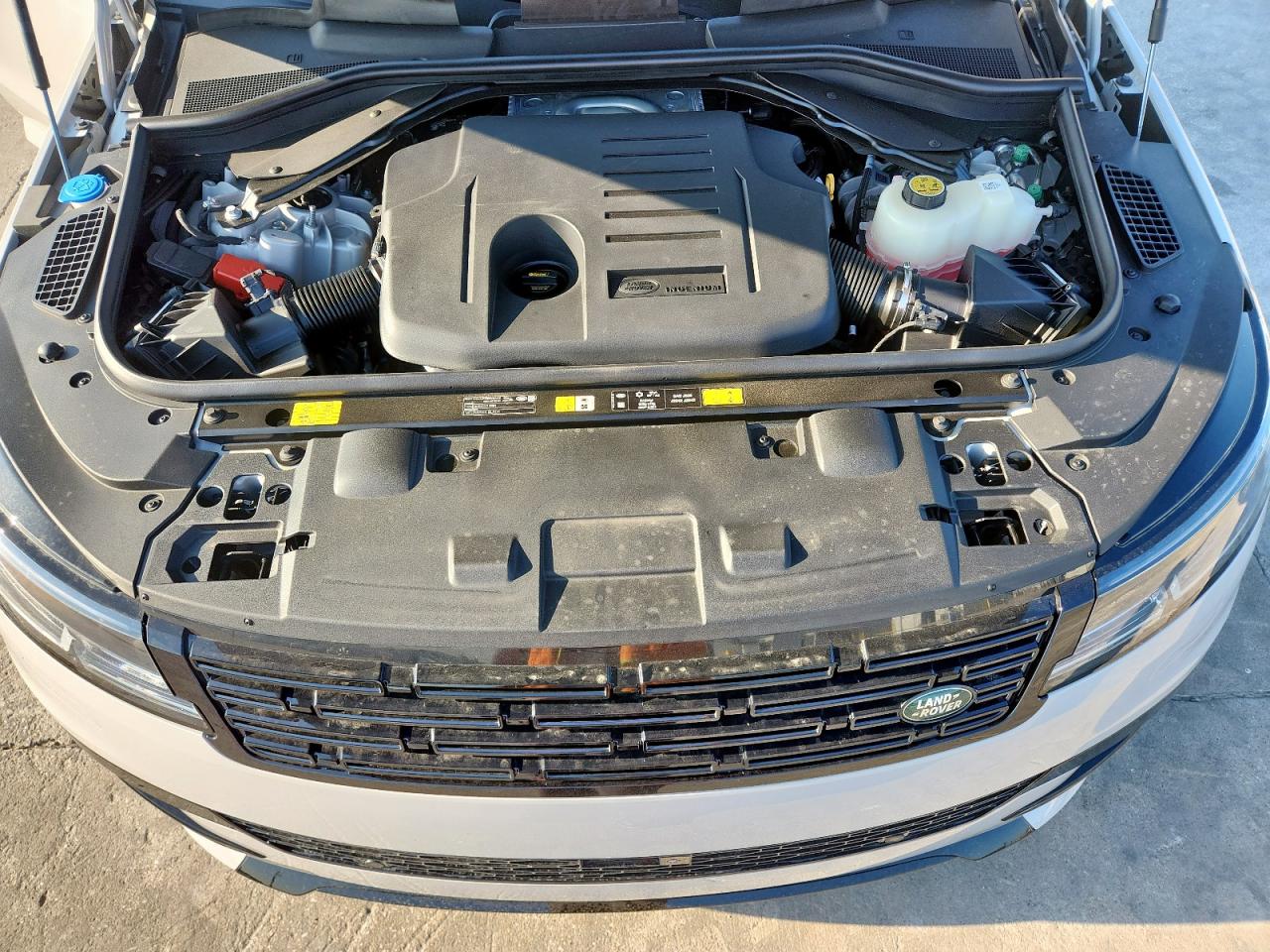 2025 Land Rover Range Rover Sport Dynamic Se VIN: SAL1L9FU3SA495682 Lot: 70009635