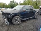 2013 FORD F150 SVT RAPTOR   à vendre chez Copart NY - NEWBURGH