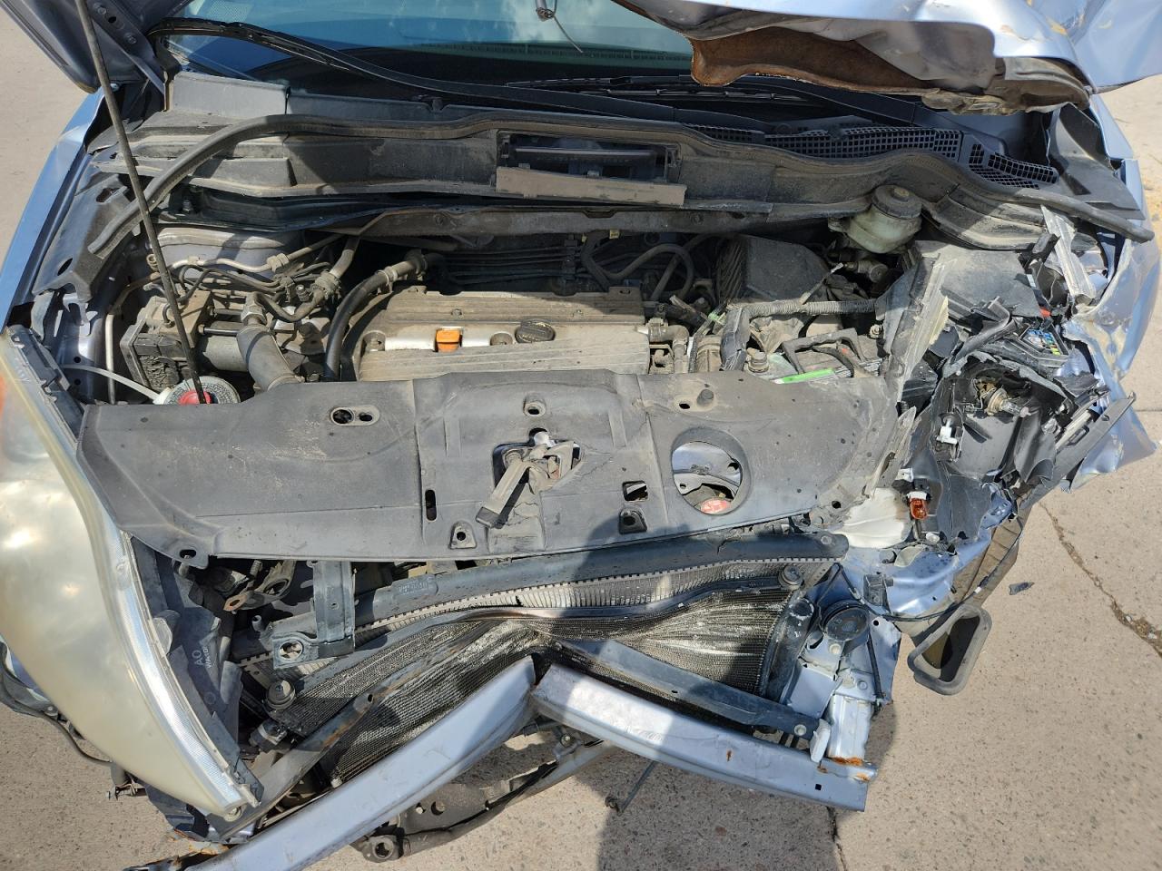 2007 Honda Cr-V Exl VIN: JHLRE38767C030255 Lot: 67065545