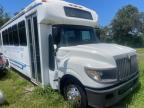 2013 IC CORPORATION 3000 - TRANSIT VEHICLES BUS for sale at Copart FL - TAMPA SOUTH