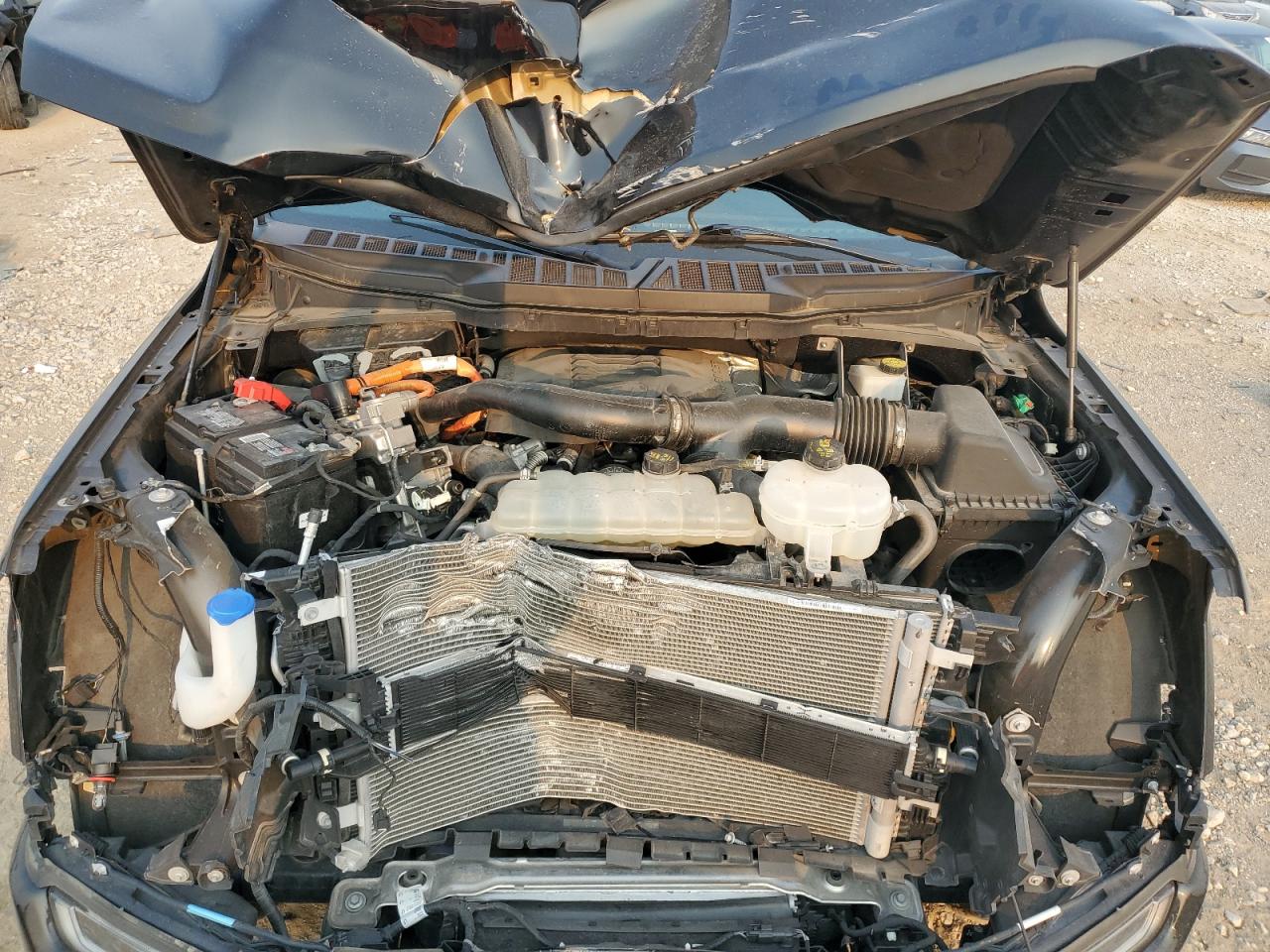 2023 Ford F150 Supercrew VIN: 1FTFW1ED4PFC74643 Lot: 66552755