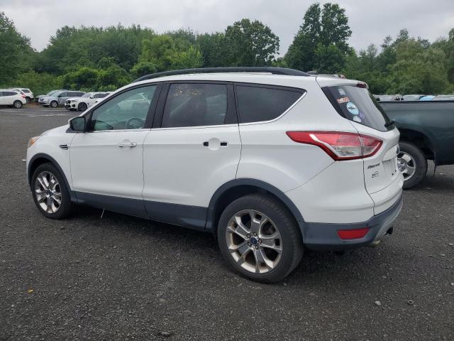 Паркетники FORD ESCAPE 2016 Белы