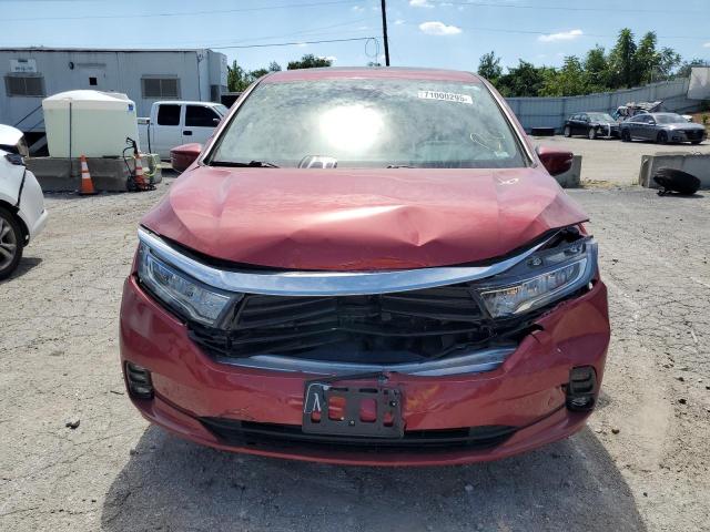  HONDA ODYSSEY 2023 Красный