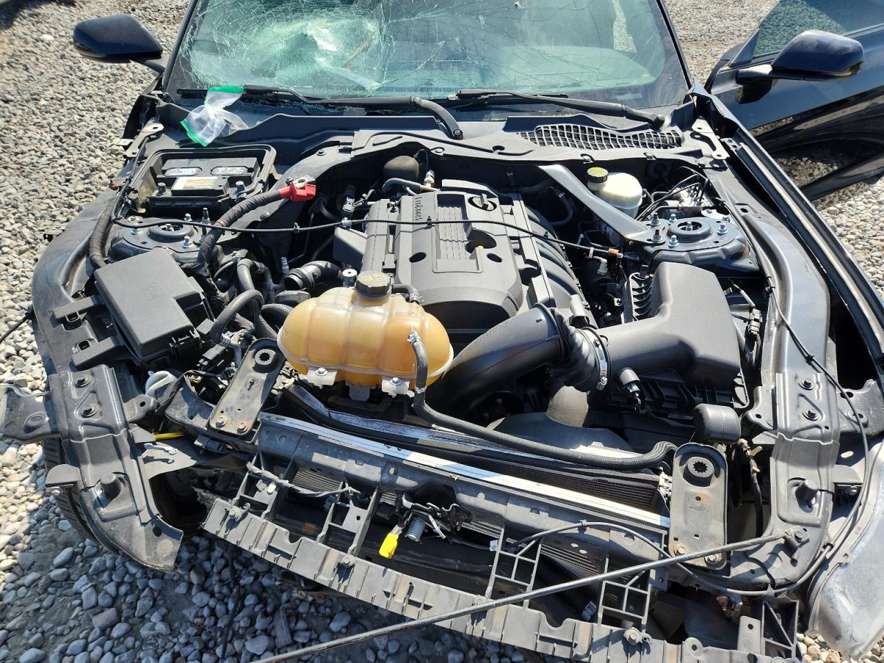 2015 Ford Mustang VIN: 1FATP8UH0F5343626 Lot: 67557245