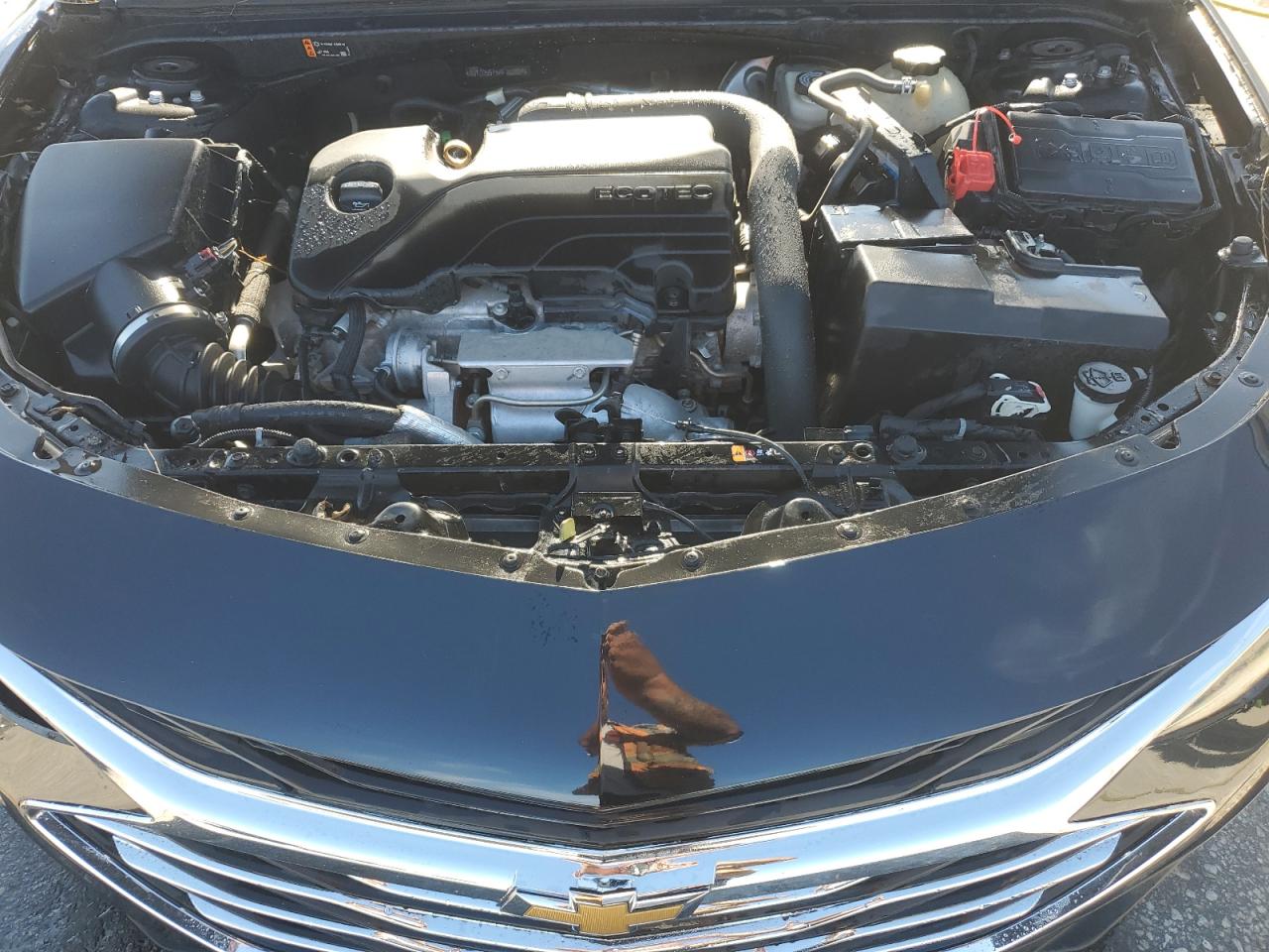 2019 Chevrolet Malibu Lt VIN: 1G1ZD5ST5KF167804 Lot: 68248745
