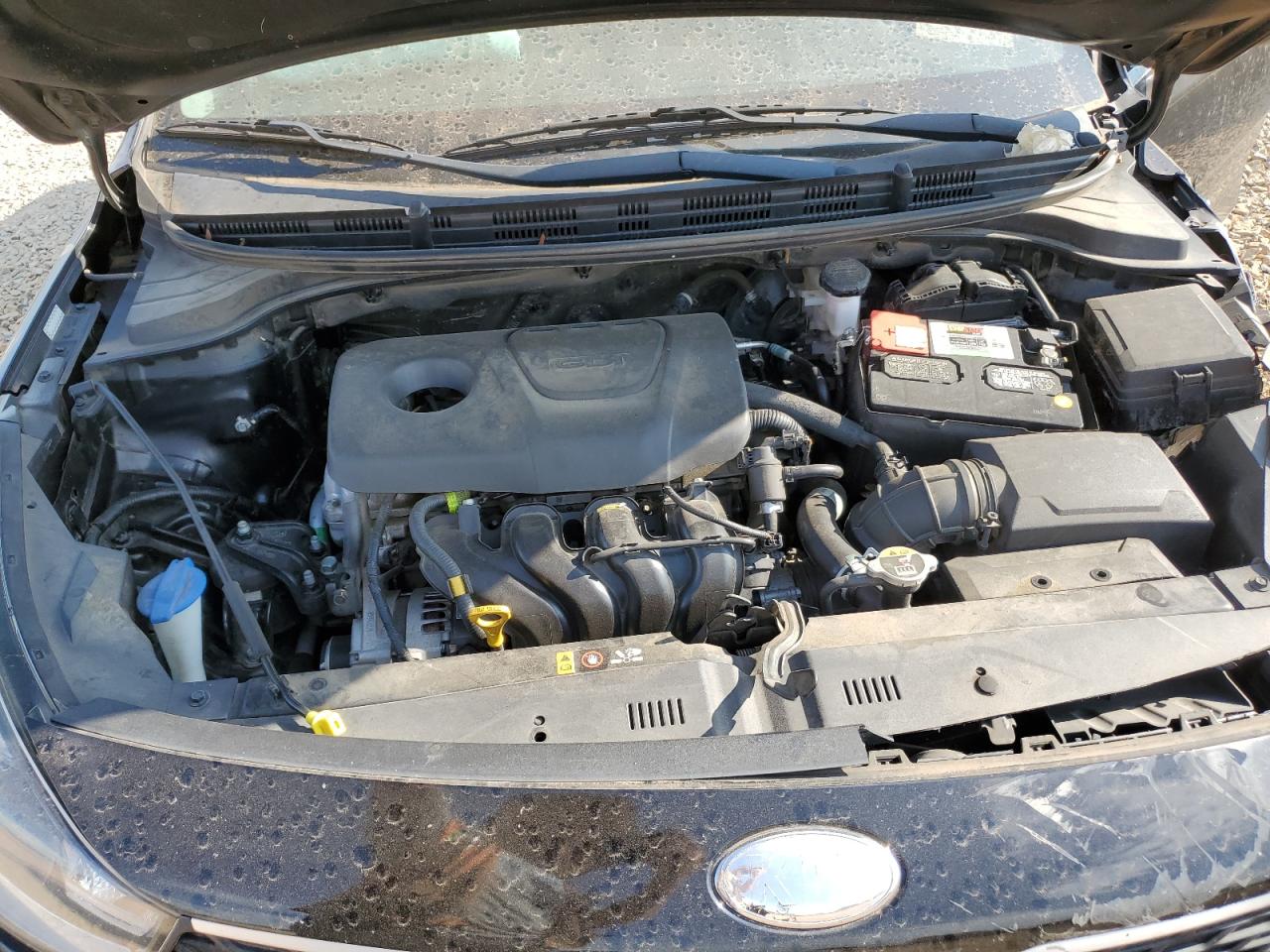 2019 Kia Rio S VIN: 3KPA24AB2KE242529 Lot: 67991005