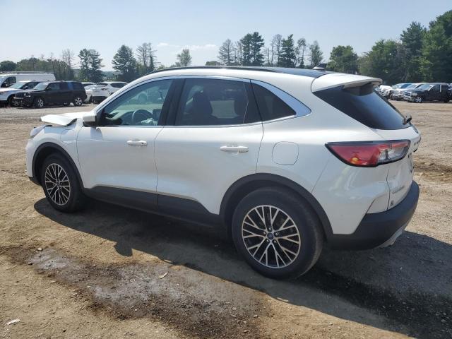  FORD ESCAPE 2022 Белы
