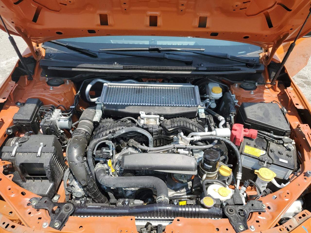 2023 Subaru Wrx Premium VIN: JF1VBAF69P9818677 Lot: 66597175