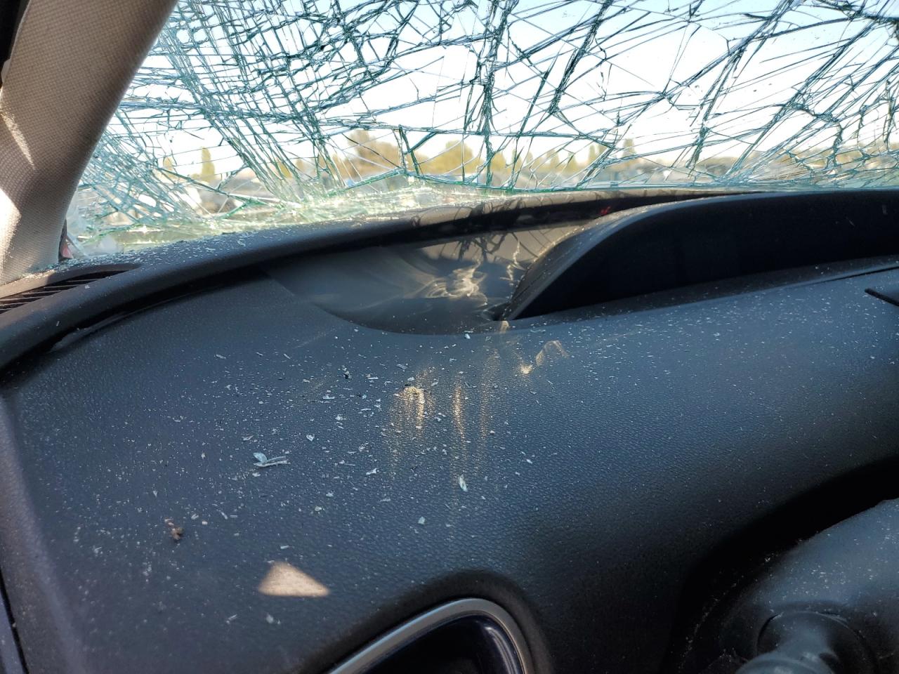 2016 Toyota Prius VIN: JTDKARFU4G3510610 Lot: 71025915