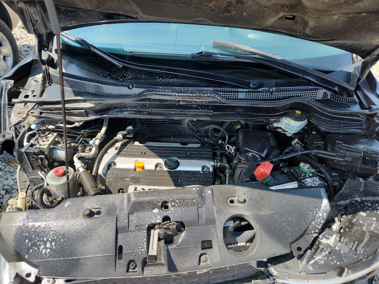 2008 Honda Cr-V Exl VIN: JHLRE48758C082046 Lot: 71003495