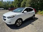 2014 HYUNDAI TUCSON GLS   à vendre chez Copart MA - NORTH BOSTON