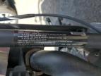 2013 HARLEY-DAVIDSON FLSTFB FATBOY LO for sale at Copart CT - HARTFORD SPRINGFIELD
