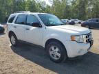 2010 FORD ESCAPE XLT   for sale at Copart ON - COOKSTOWN