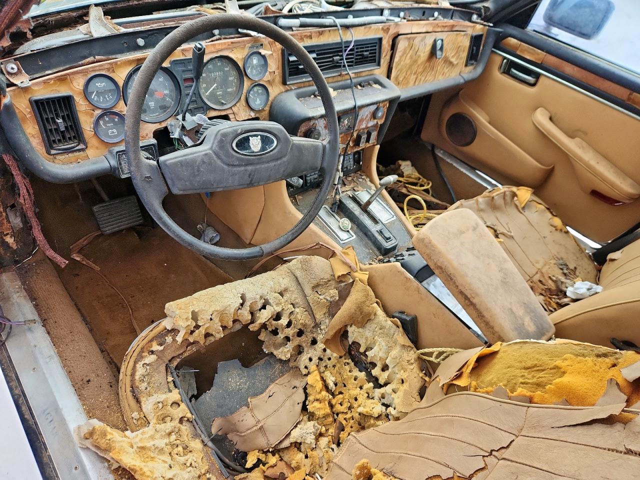 1985 Jaguar Xj6 VIN: SAJJCALP4CC423018 Lot: 67813265