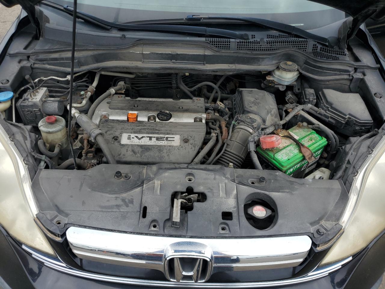 2007 Honda Cr-V Exl VIN: JHLRE48757C019351 Lot: 69901935