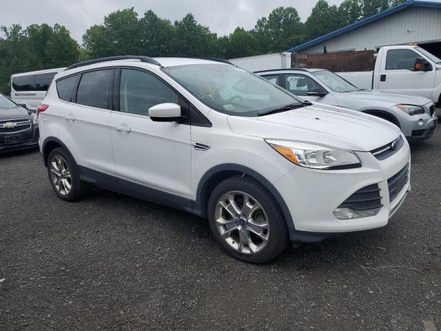 Паркетники FORD ESCAPE 2016 Белы
