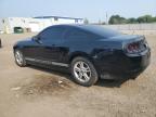 2014 FORD MUSTANG    à vendre chez Copart ON - COOKSTOWN