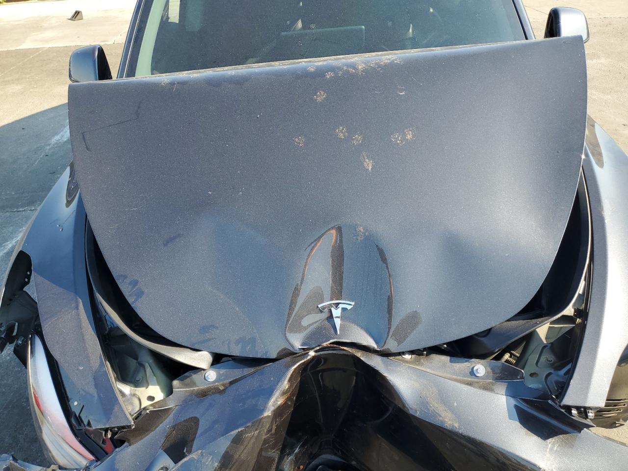 2025 Tesla Model Y VIN: 7SAYGDEF4SF310131 Lot: 68002275