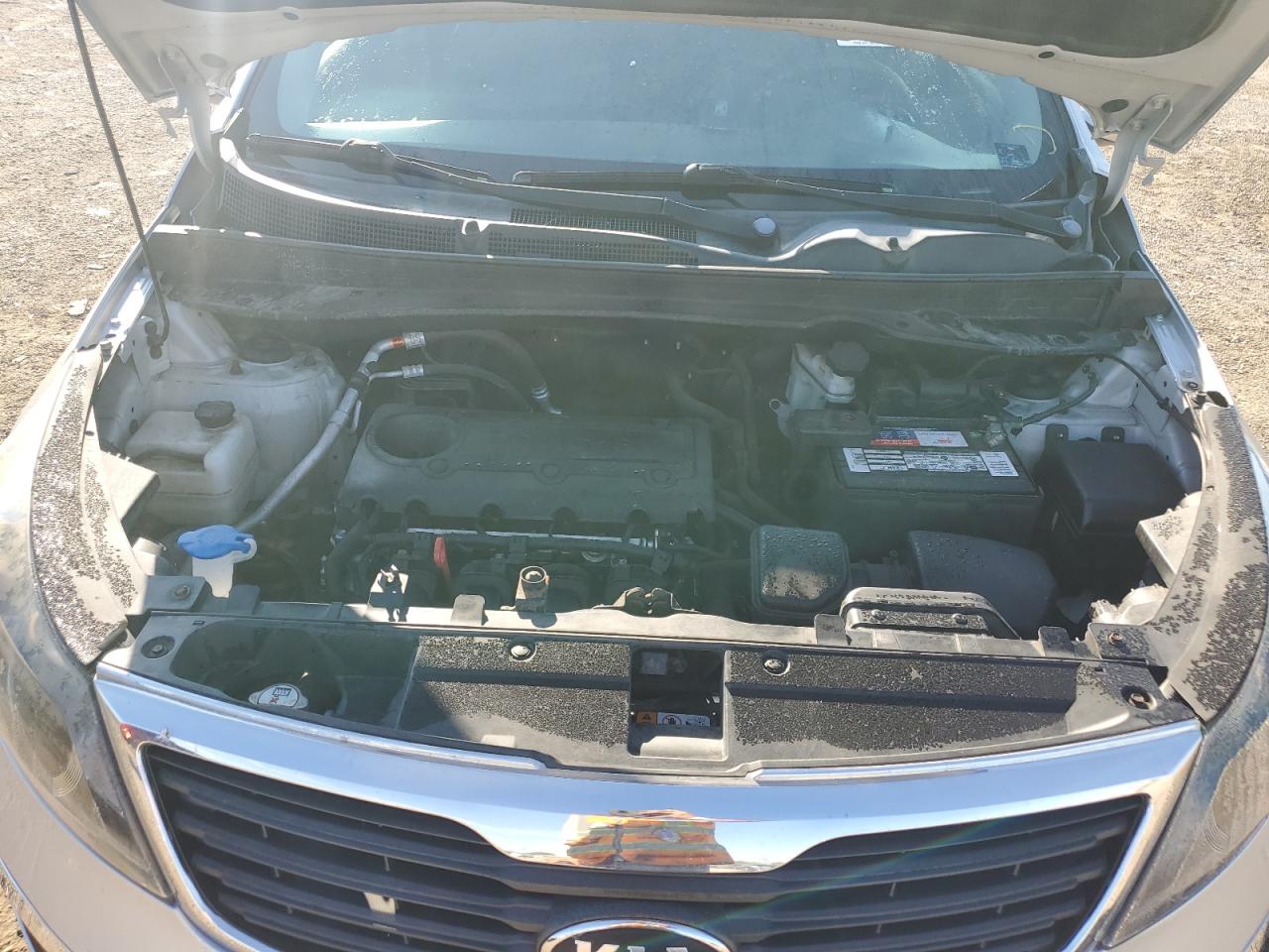 2013 Kia Sportage Base VIN: KNDPB3A29D7429239 Lot: 69619255