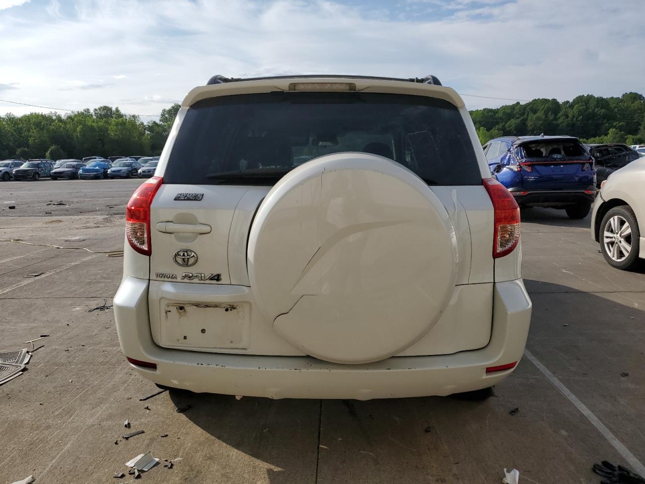 2007 Toyota Rav4 Limited VIN: JTMZK31V075007587 Lot: 67502225