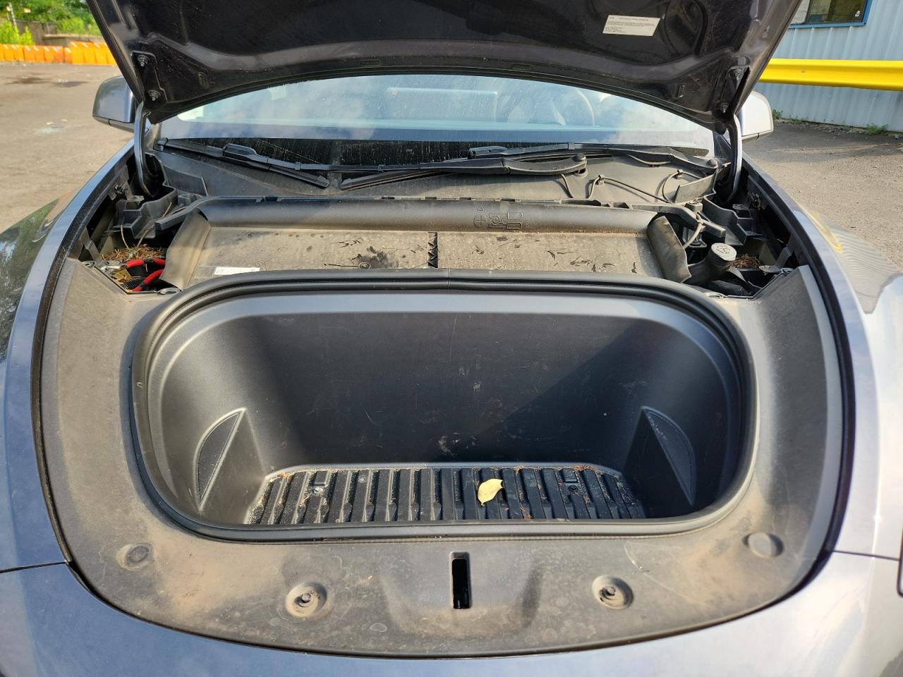 2023 Tesla Model Y VIN: 7SAYGDEE2PF620888 Lot: 70499035