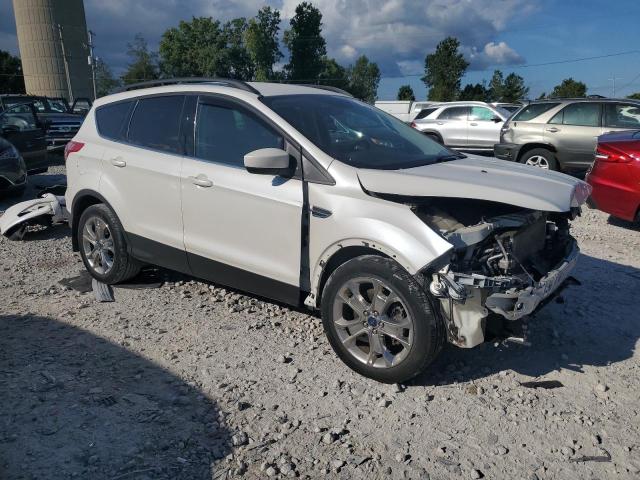  FORD ESCAPE 2016 Белы