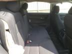 2024 HONDA CR-V SPORT   for sale at Copart NB - MONCTON