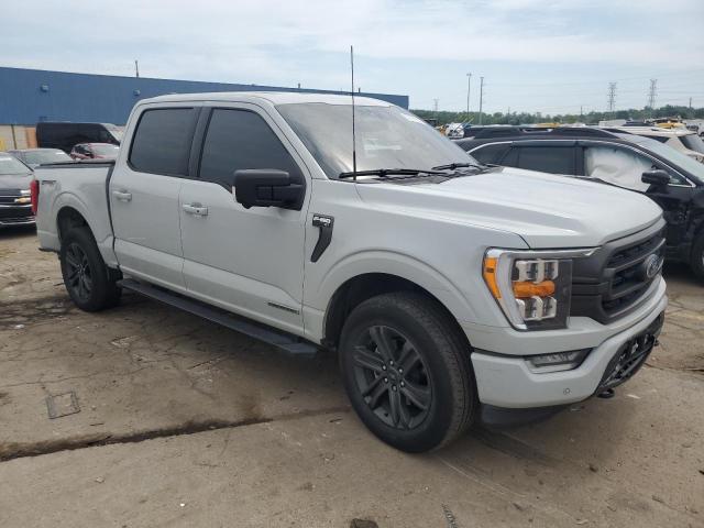  FORD F-150 2023 Бежевый