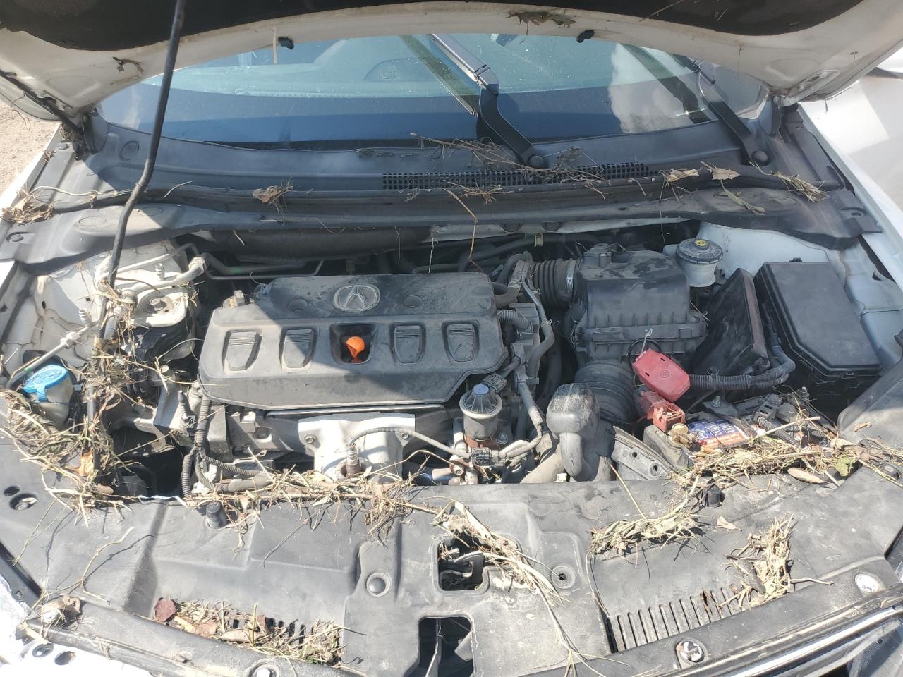 2015 Acura Ilx 20 VIN: 19VDE1F34FE004684 Lot: 67478935