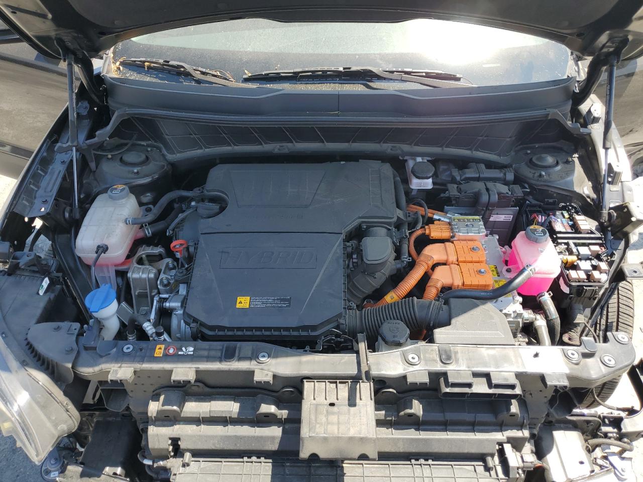 2024 Kia Niro Lx VIN: KNDCP3LE3R5195528 Lot: 69465095