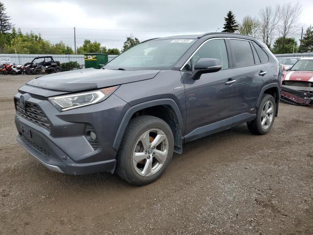 2019 TOYOTA RAV4 LIMITED   à vendre chez Copart ON - TORONTO