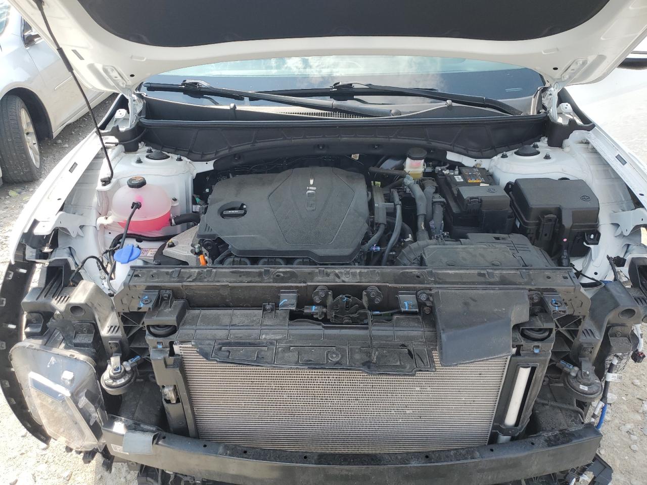 2024 Hyundai Santa Cruz Sel VIN: 5NTJBDAE6RH094290 Lot: 68313505