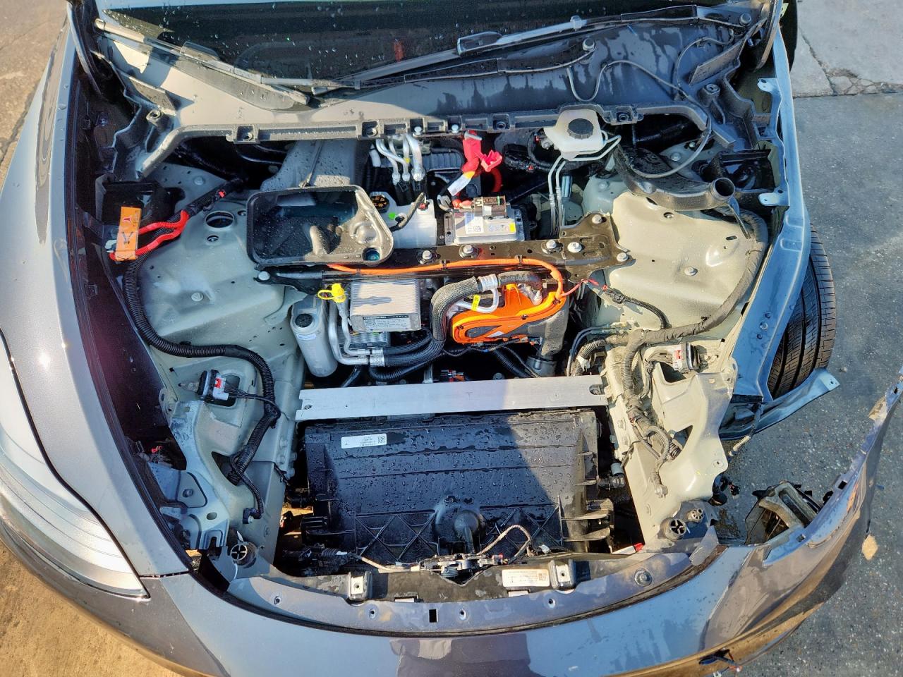 2025 Tesla Model Y VIN: 7SAYGDED8SA338056 Lot: 67119205