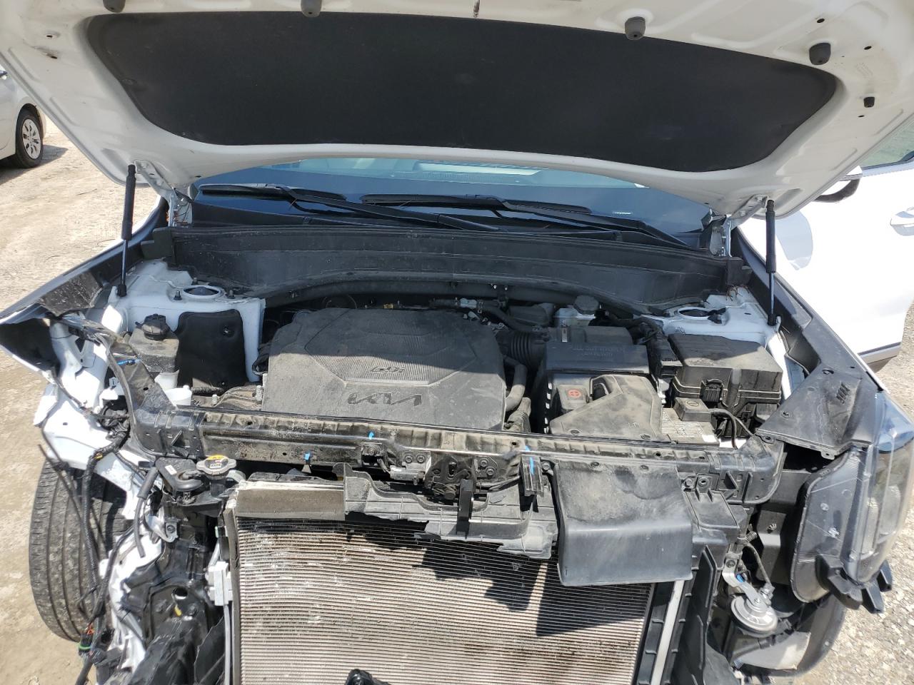 2023 Kia Telluride Sx VIN: 5XYP54GC0PG409000 Lot: 71022165