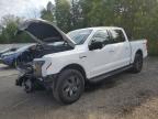2023 FORD F150 LIGHTNING PRO   à vendre chez Copart ON - COOKSTOWN
