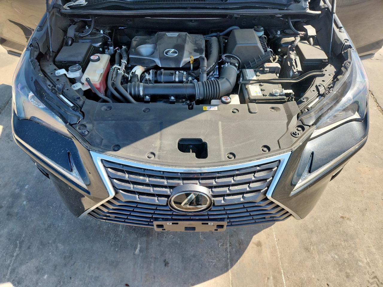 2021 Lexus Nx 300 Base VIN: JTJGARBZ3M2198270 Lot: 68637445