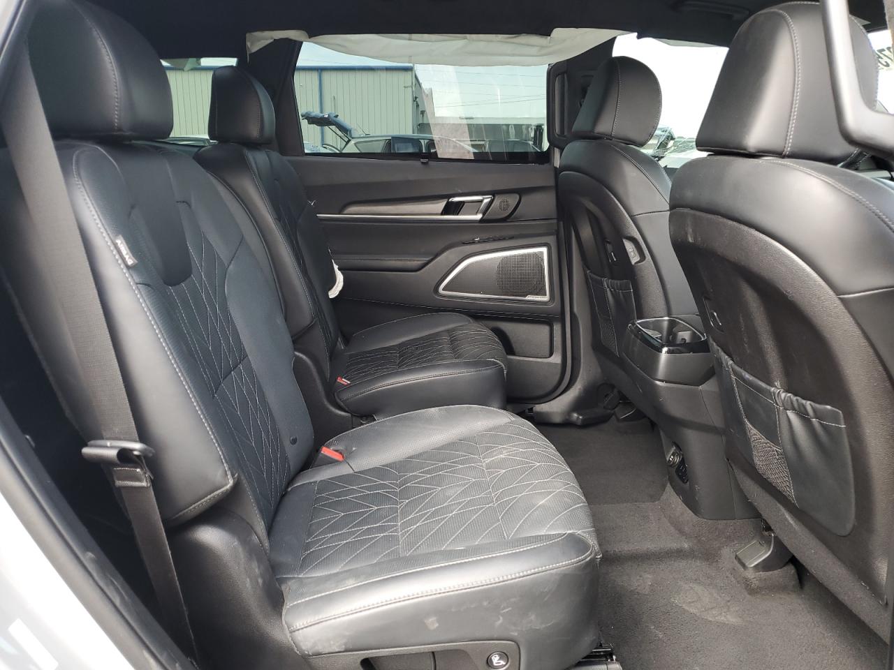 2024 Kia Telluride Sx VIN: 5XYP5DGC1RG436287 Lot: 70754275