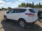 2013 FORD ESCAPE SE   à vendre chez Copart ON - TORONTO