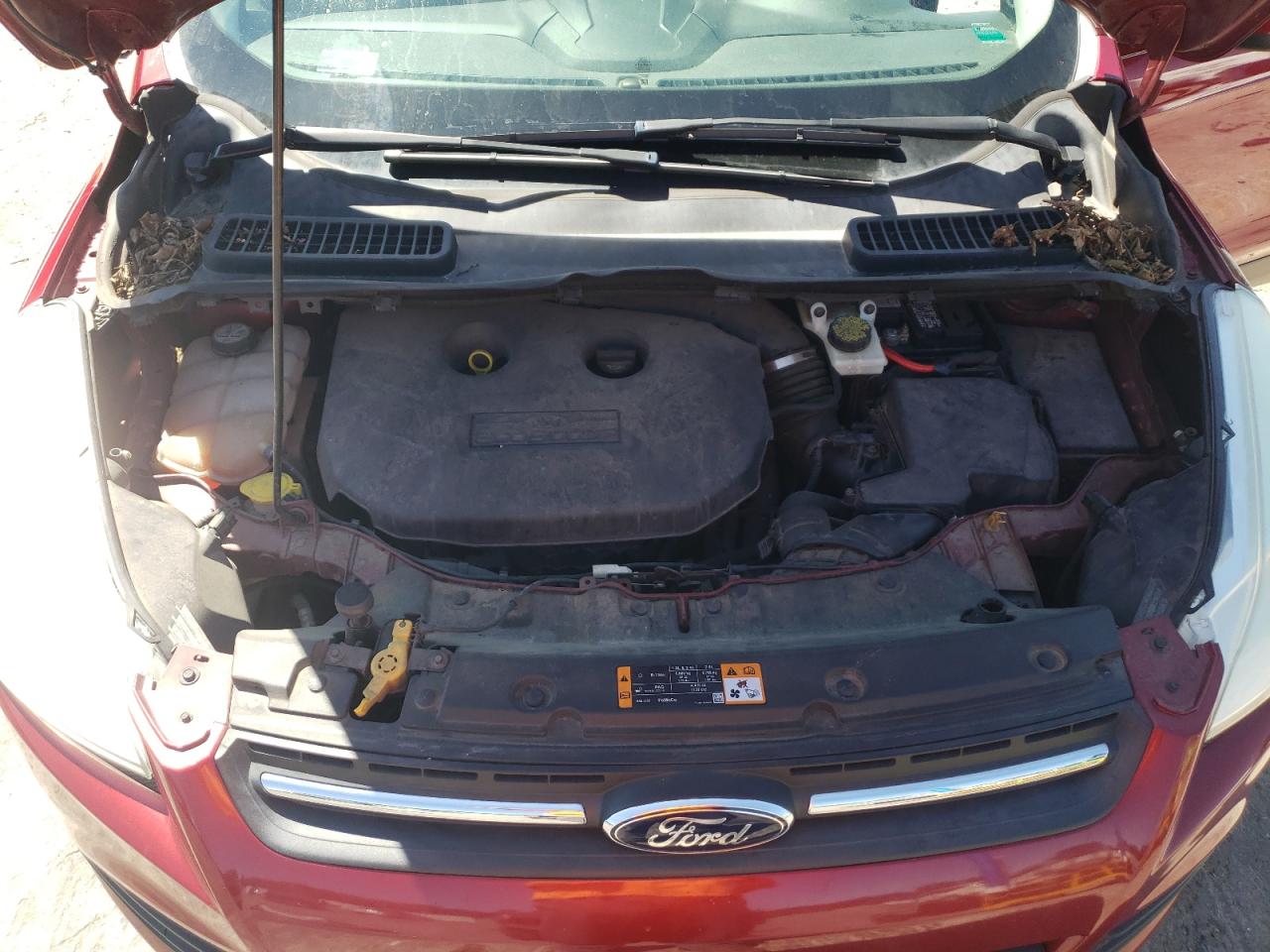 2013 Ford Escape Se VIN: 1FMCU0G9XDUD00788 Lot: 69927185