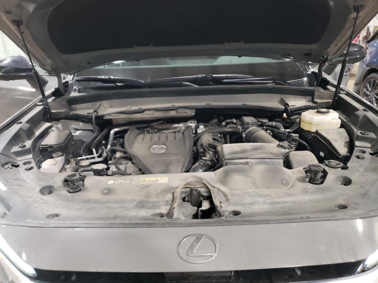 2024 Lexus Tx 500H F Sport Premium VIN: 5TDABAB6XRS000166 Lot: 68399495