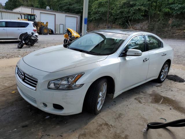  NISSAN MAXIMA 2013 Biały