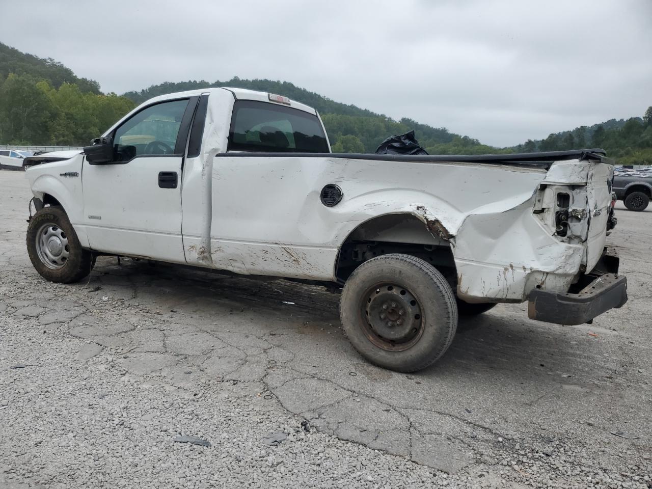 2013 Ford F150 white pickup gas 1FTNF1CTXDKF43415 photo #3