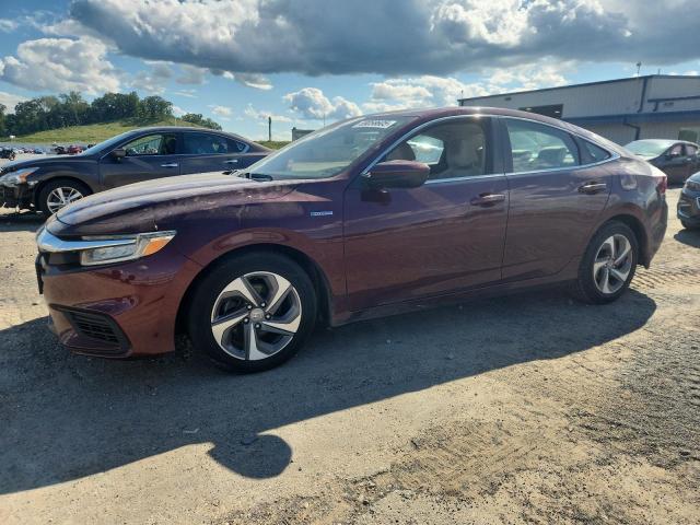  HONDA INSIGHT 2019 Maroon