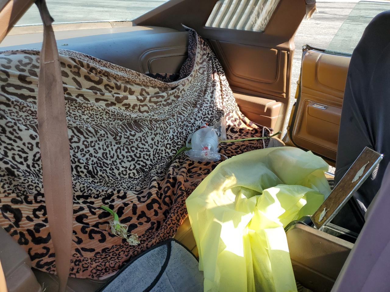 1973 Pontiac Grand Am VIN: 2H37R3P333856 Lot: 68918765