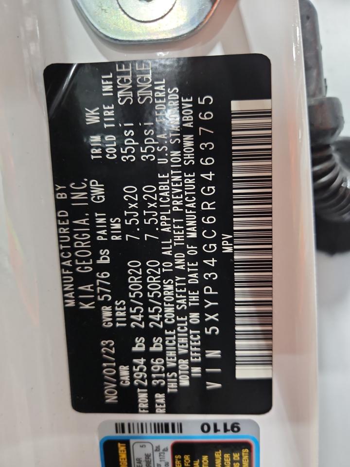2024 Kia Telluride Ex VIN: 5XYP34GC6RG463765 Lot: 68214985