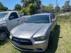 2014 DODGE CHARGER SE   à vendre chez Copart FL - TAMPA SOUTH