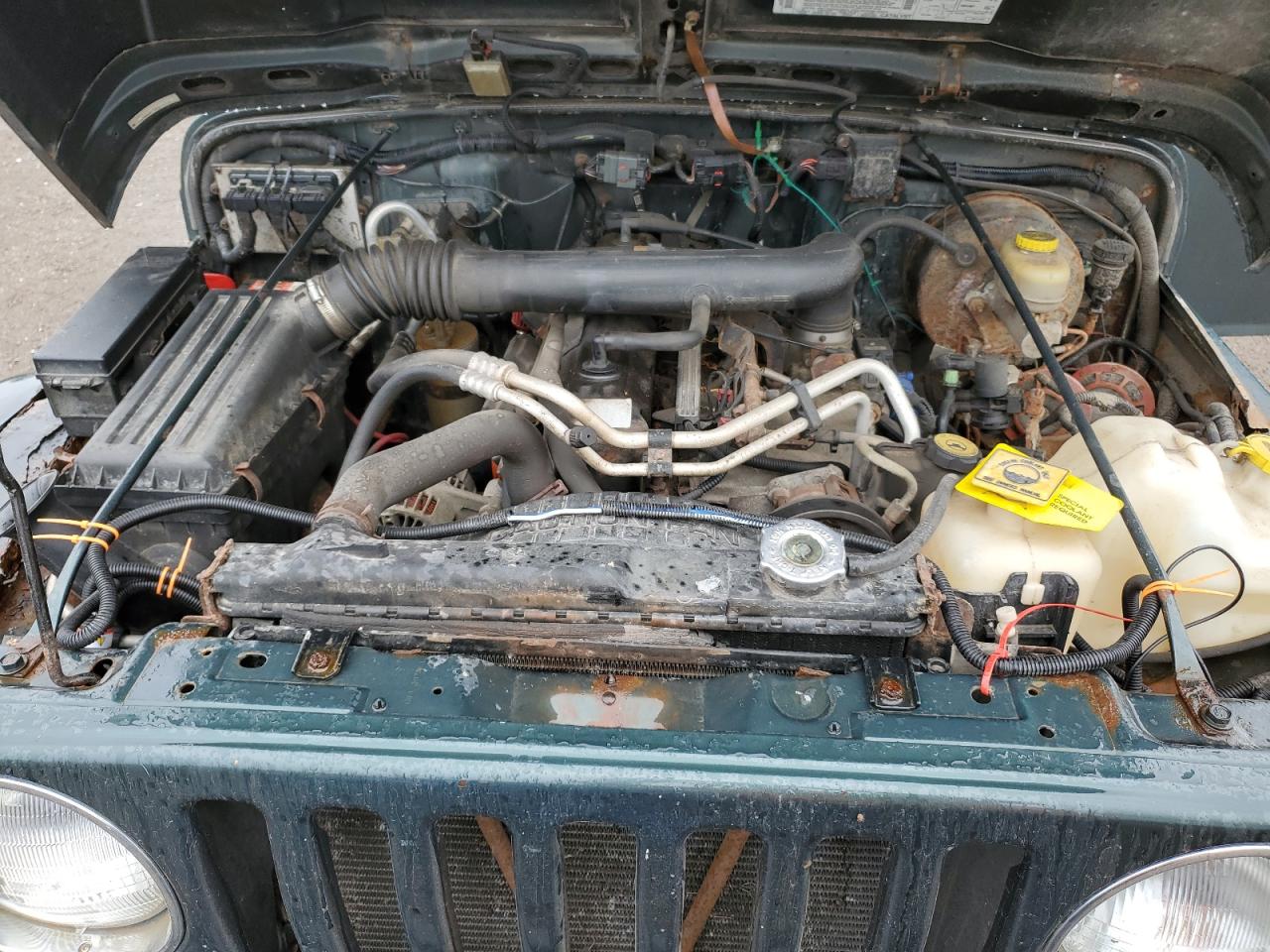 2003 Jeep Wrangler / Tj Sahara VIN: 1J4FA59S03P332230 Lot: 70377845