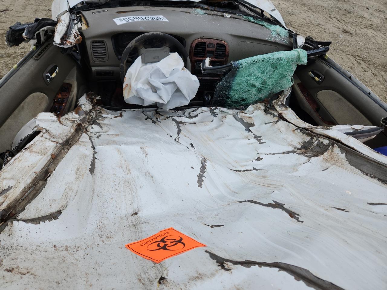 2003 Hyundai Sonata Gls VIN: KMHWF35HX3A904828 Lot: 69620655